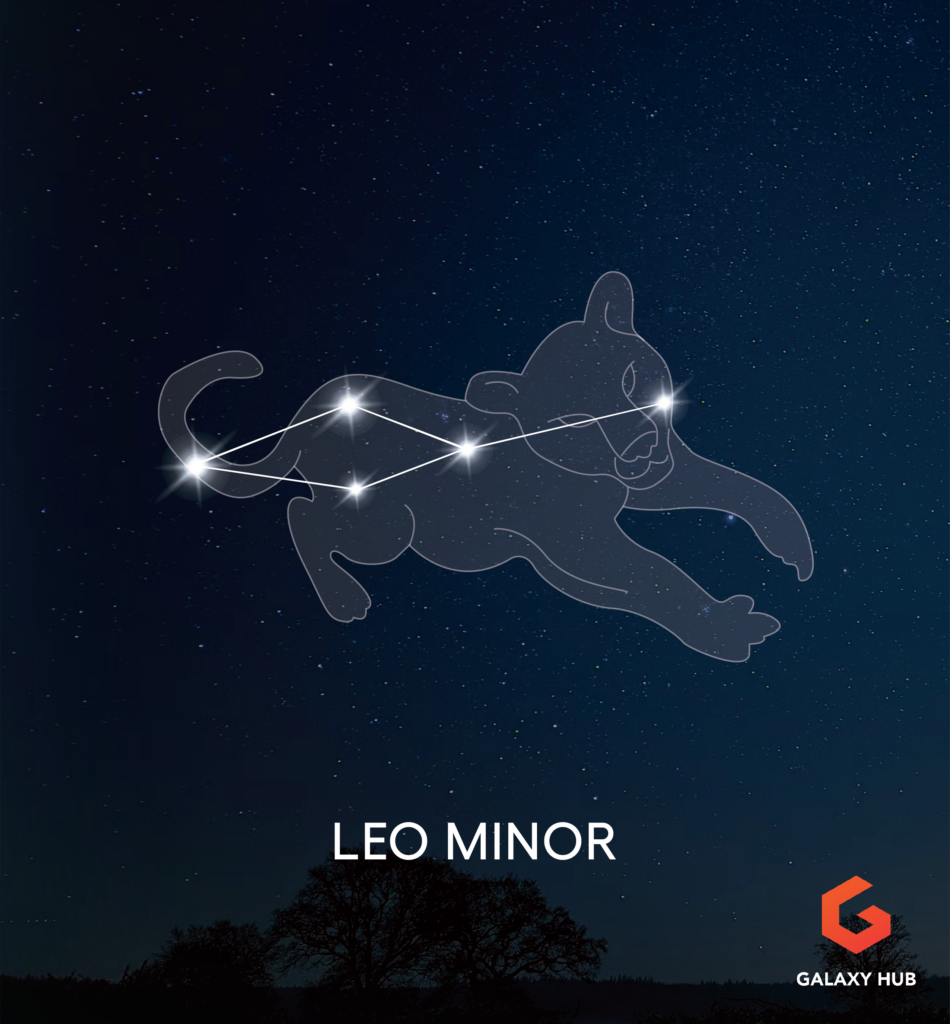 Constellation - Leo Minor Mythical Creature