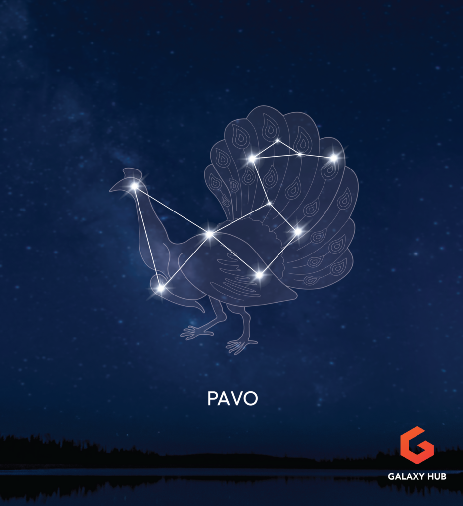 Pavo Constellation Mythical Creature