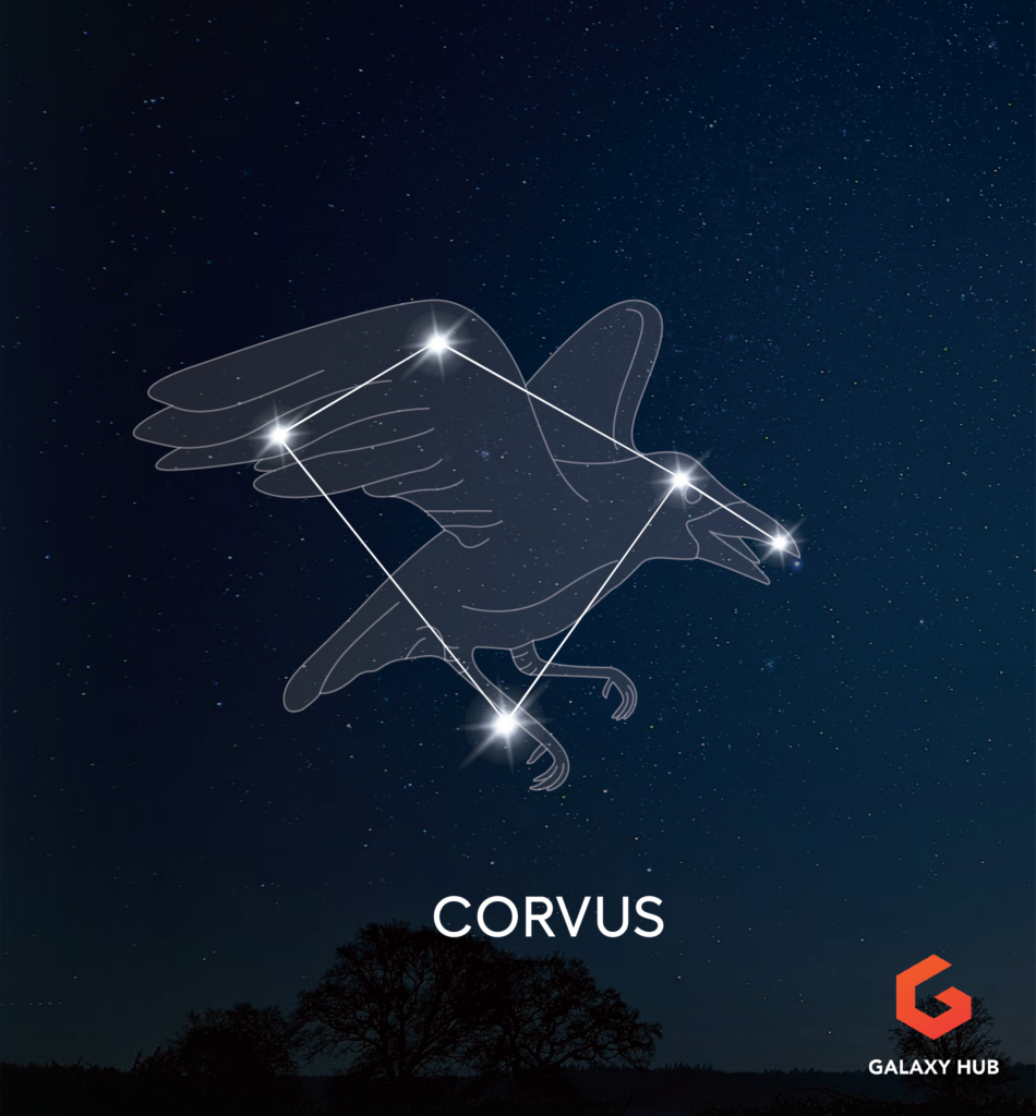 Constellation - Corvus Mythical Creature